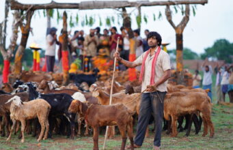 Get into the Groove with ‘Vavvare,’ the Second Single from Pottel Vavvare